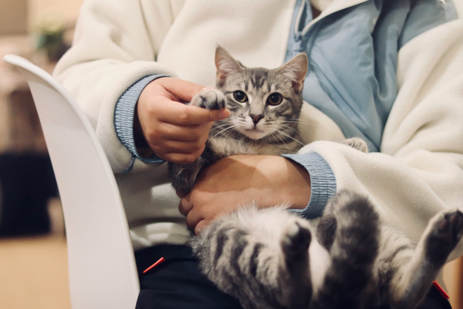 Cómo llevar a tu mascota al veterinario sin estrés (para ella y para ti)
